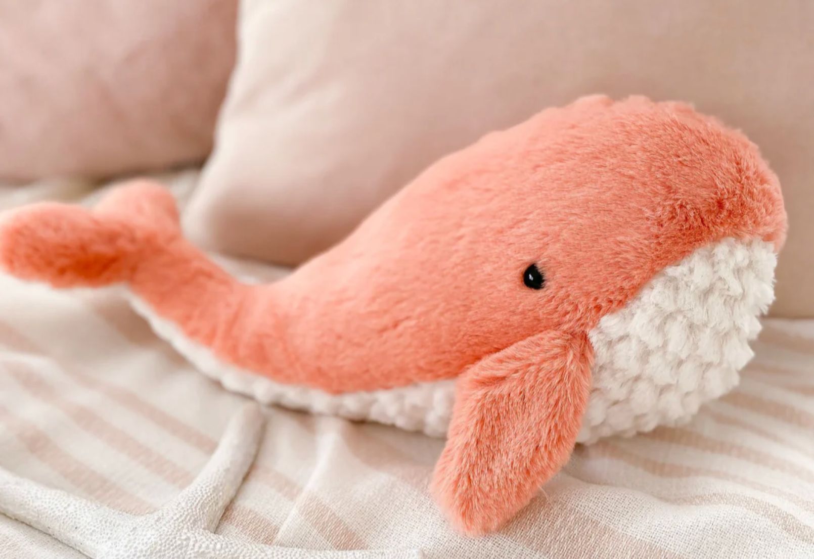 Mon Ami - Coral Whale